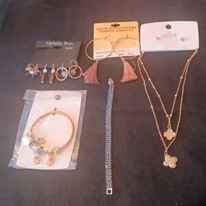 5 PC Opelia Rose and Mint Jewelley Set